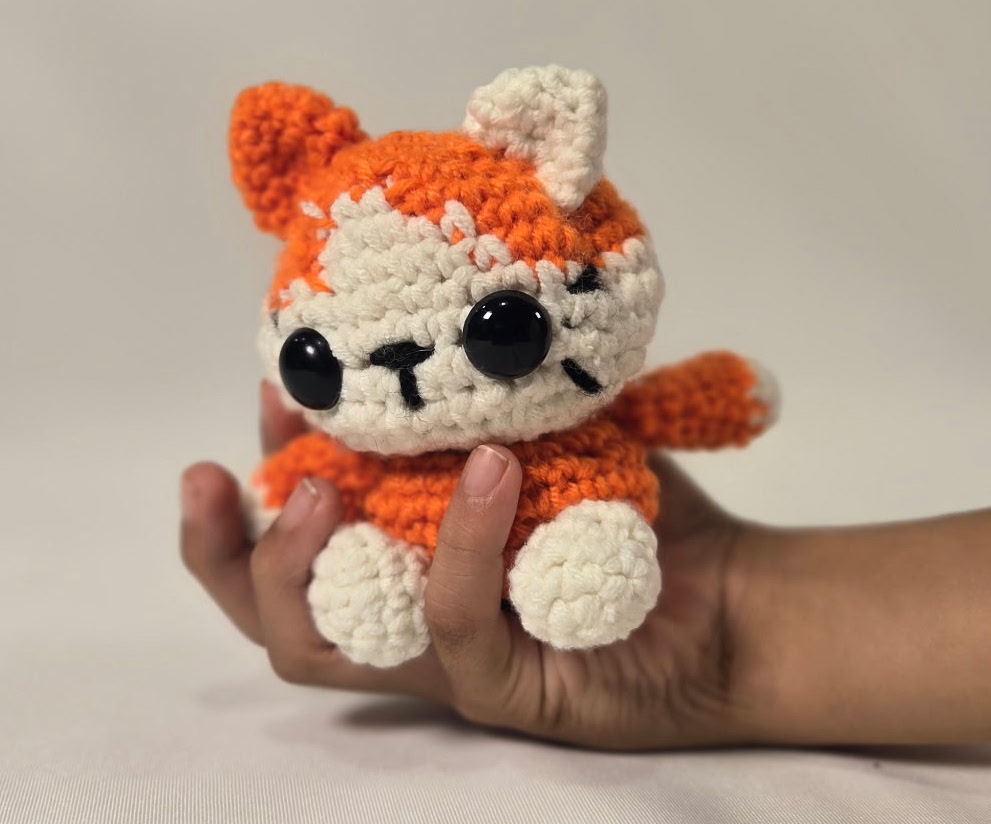 Orange Teddy Closeup 2